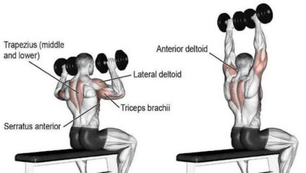 Dimer Flat Gym Bench