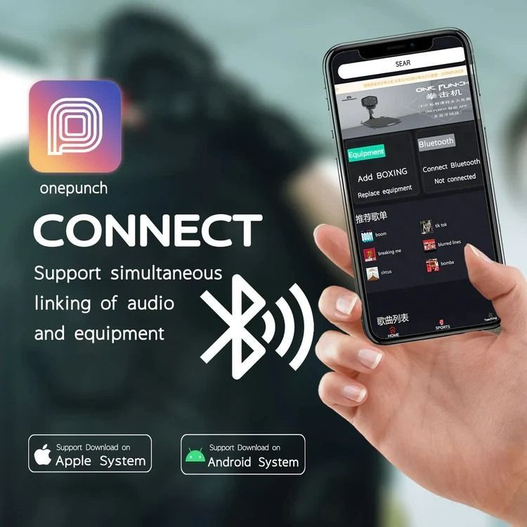 OnePunch™ Music Boxing V2 (Free Gloves) Liteboxer