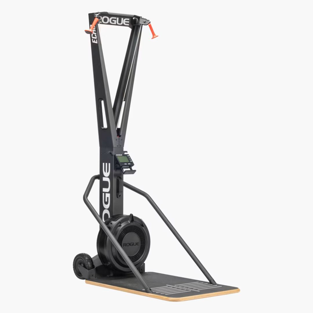 Rogue Echo Ski
