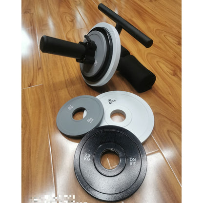 Coloured Steel 2.5kg Weight Plate