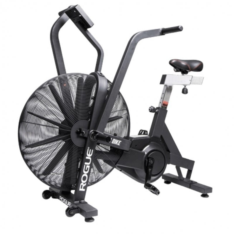 ROGUE ECHO BIKE V3.0