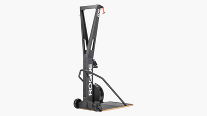 Rogue Echo Ski