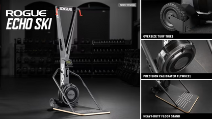 Rogue Echo Ski