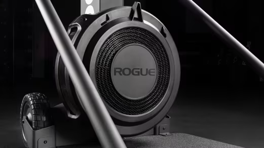 Rogue Echo Ski