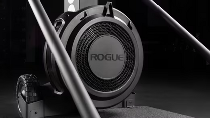 Rogue Echo Ski