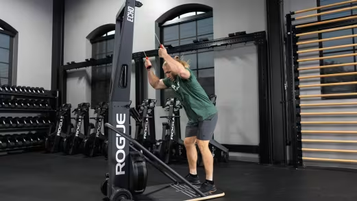 Rogue Echo Ski