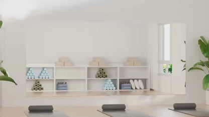 Prismatek Safe Mirror Wall Glassless Lightweight Gym Yoga Studio Preschool Dance Ballet Pilates Custom