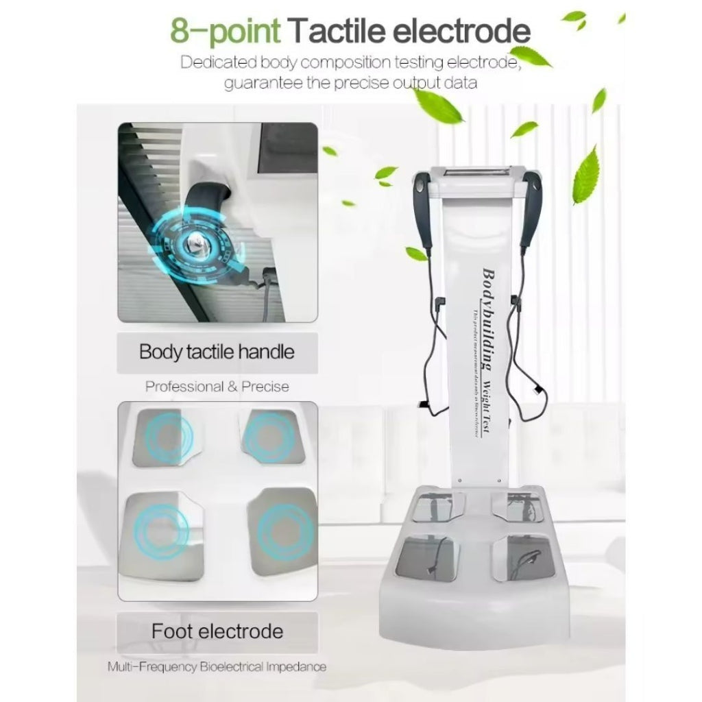 BB多频体脂健康与成分分析仪GS6.5B